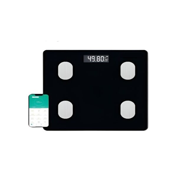 Digital Body Scale
