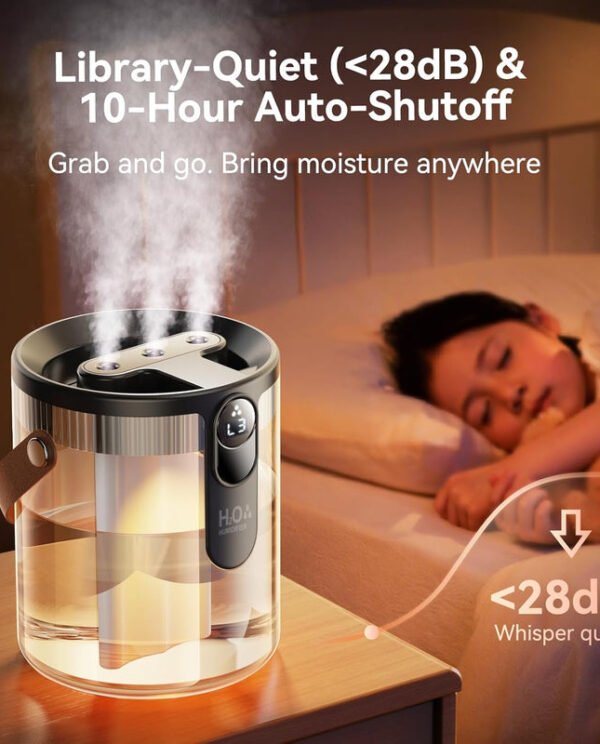 Dual-Spray Portable Humidifier