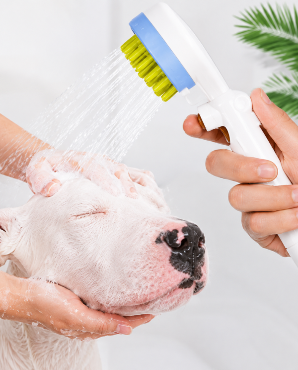 Cat And Dog Massage Comb Bath Brush Shower