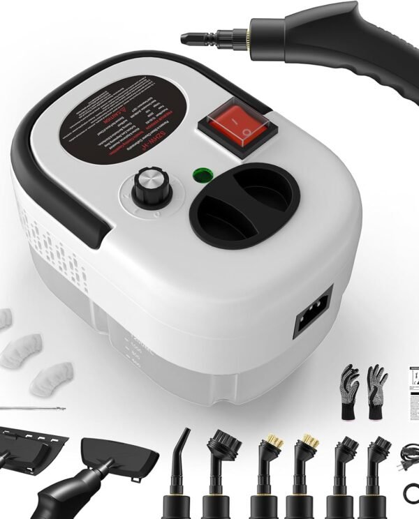 Portable Steam Cleaner